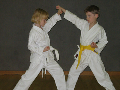karate fotos 006